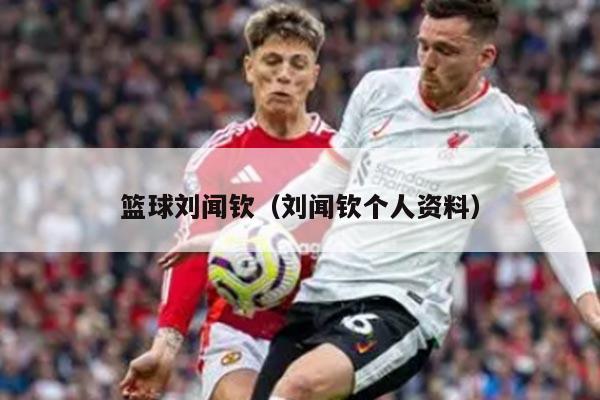 篮球刘闻钦（刘闻钦个人资料）