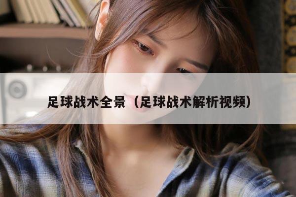 足球战术全景（足球战术解析视频）