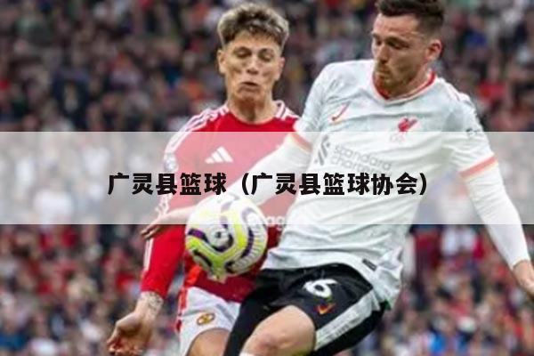 广灵县篮球（广灵县篮球协会）
