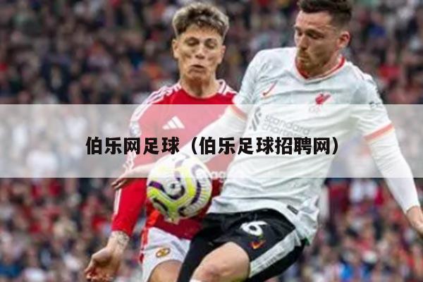 伯乐网足球(伯乐足球招聘网)