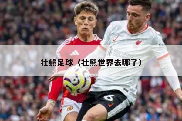 壮熊足球（壮熊世界去哪了）