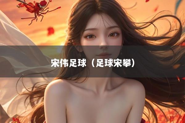 宋伟足球（足球宋攀）