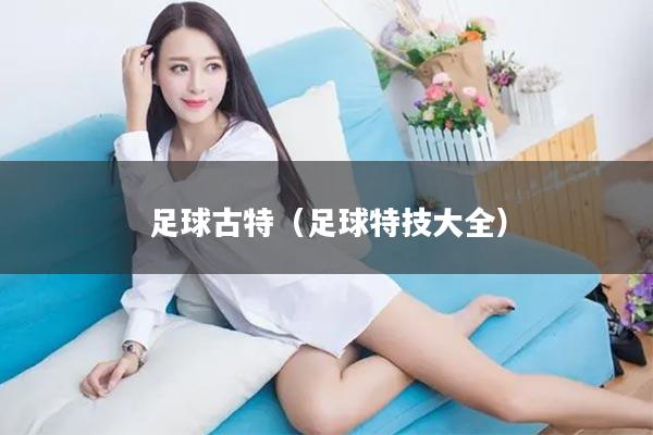 足球古特（足球特技大全）