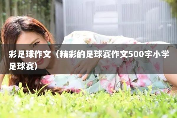 彩足球作文（精彩的足球赛作文500字小学足球赛）