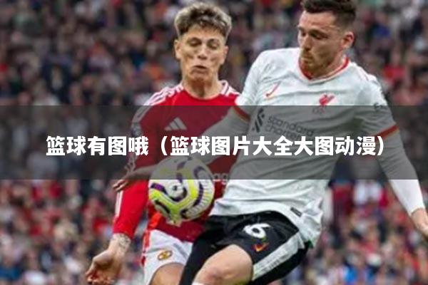 篮球有图哦(篮球图片大全大图动漫)