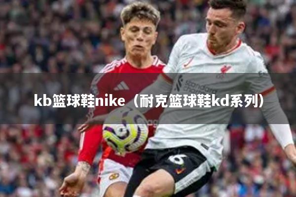 kb篮球鞋nike（耐克篮球鞋kd系列）