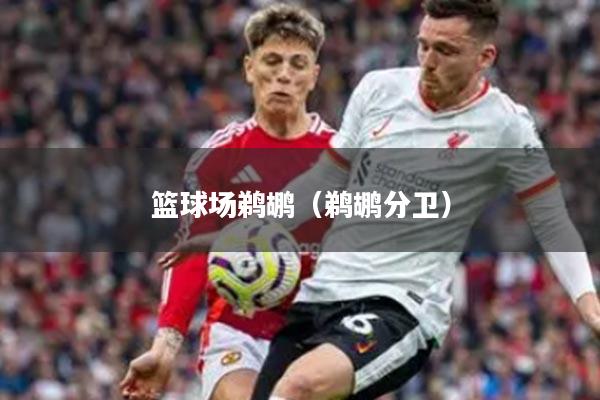 篮球场鹈鹕（鹈鹕分卫）